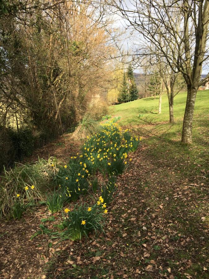Llanwenarth Cottage A Beautiful Place To Just Be. Abergavenny ภายนอก รูปภาพ